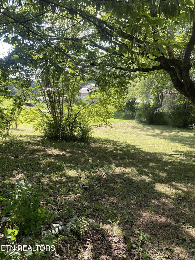 315 Dell Rd, Maryville, TN 37804 - photo 8