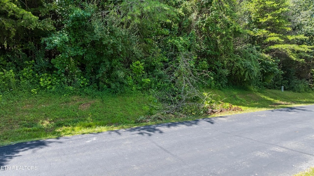 Ganega Trl, Vonore, TN 37885 - photo 23