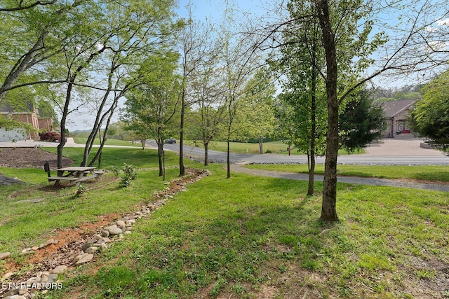 Ganega Trl, Vonore, TN 37885 - photo 37