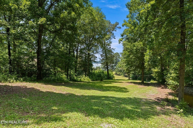 4624 State Highway 304, Ten Mile, TN 37880 - photo 24