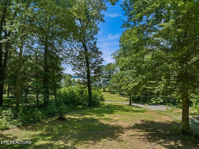 4624 State Highway 304, Ten Mile, TN 37880 - photo 25