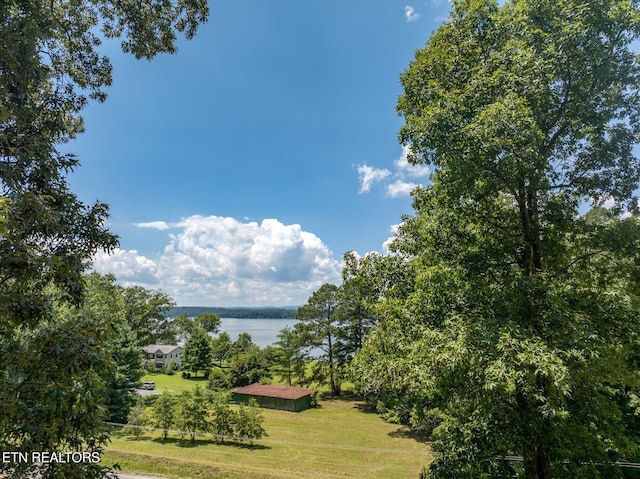 4624 State Highway 304, Ten Mile, TN 37880 - photo 26