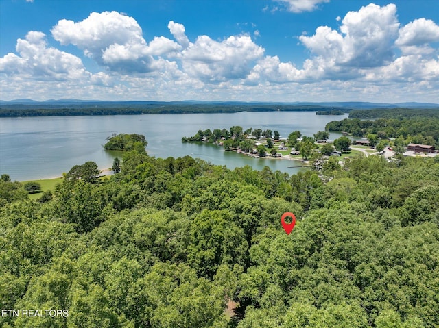 4624 State Highway 304, Ten Mile, TN 37880 - photo 28