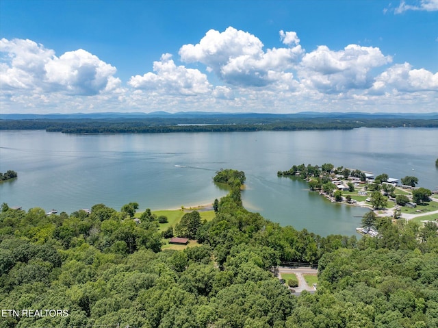 4624 State Highway 304, Ten Mile, TN 37880 - photo 29