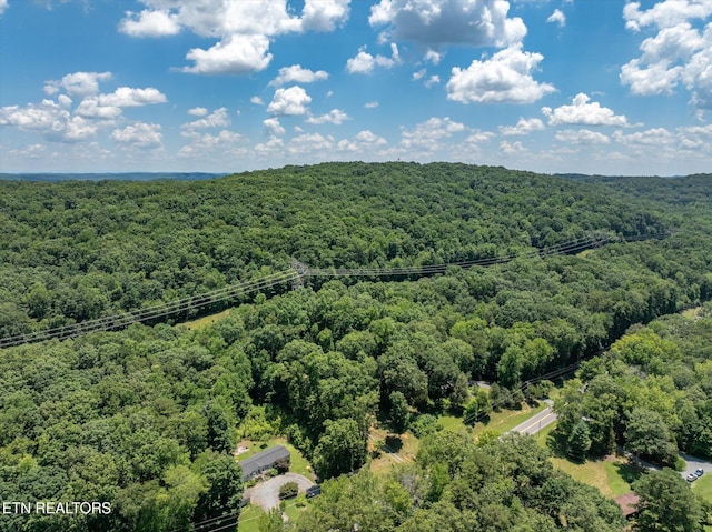 4624 State Highway 304, Ten Mile, TN 37880 - photo 35