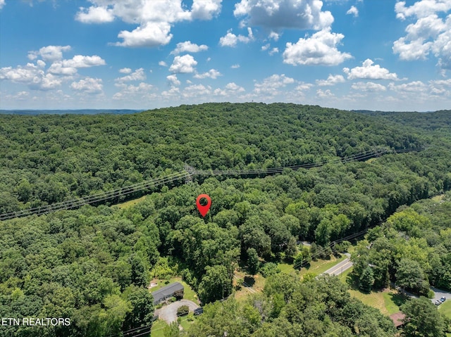 4624 State Highway 304, Ten Mile, TN 37880 - photo 36