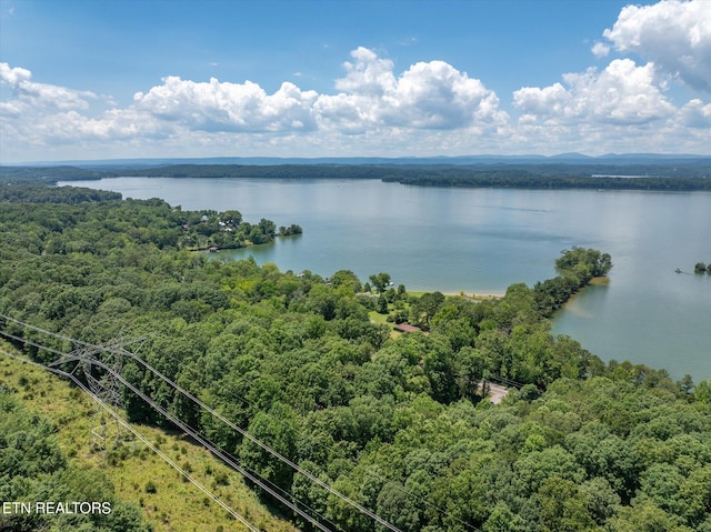 4624 State Highway 304, Ten Mile, TN 37880 - photo 39