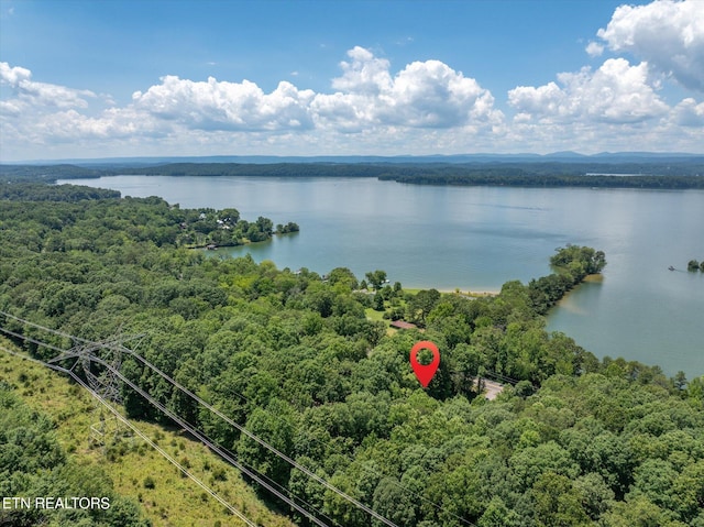 4624 State Highway 304, Ten Mile, TN 37880 - photo 40
