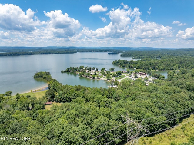 4624 State Highway 304, Ten Mile, TN 37880 - photo 41