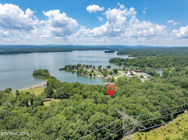 4624 State Highway 304, Ten Mile, TN 37880 - photo 42