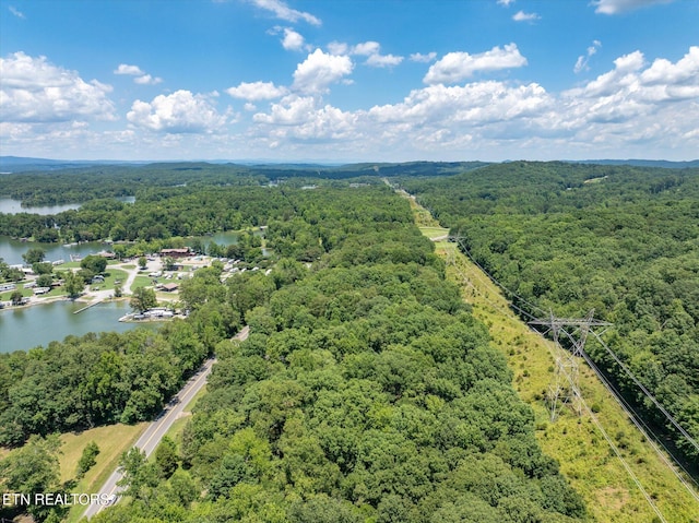 4624 State Highway 304, Ten Mile, TN 37880 - photo 43