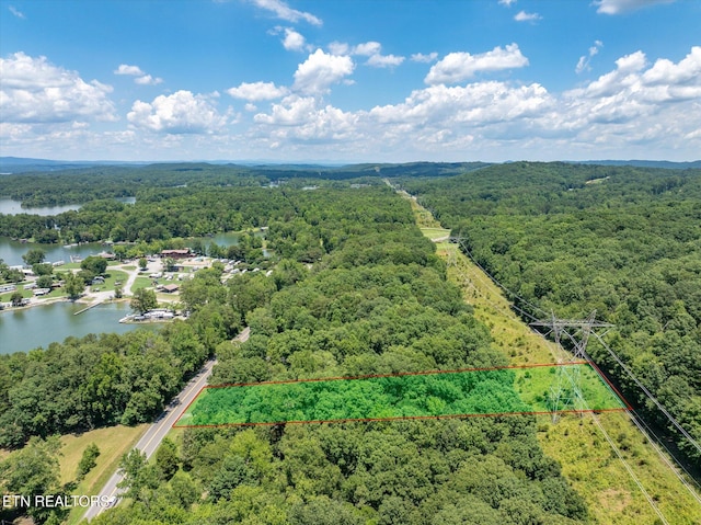 4624 State Highway 304, Ten Mile, TN 37880 - photo 44