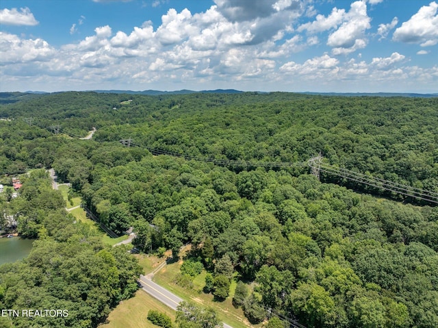 4624 State Highway 304, Ten Mile, TN 37880 - photo 45