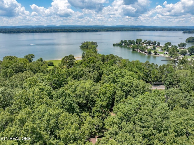 4624 State Highway 304, Ten Mile, TN 37880 - photo 47
