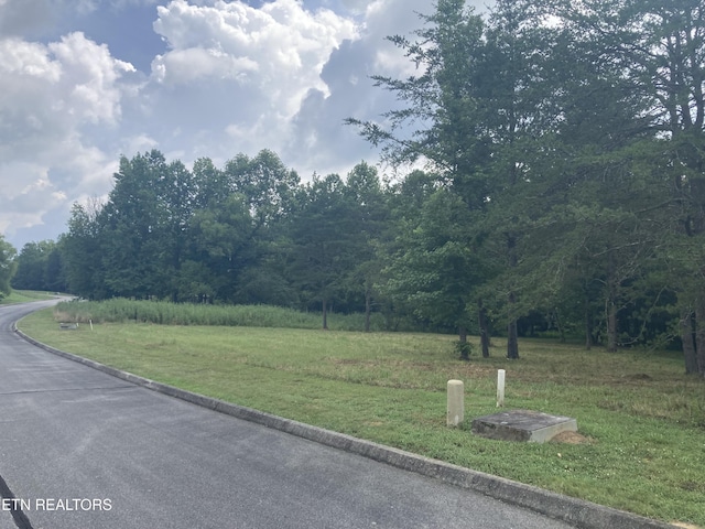 LOT73 Creekview Dr, Harriman, TN 37748 - photo 3