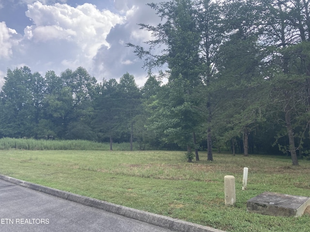 LOT73 Creekview Dr, Harriman, TN 37748 - photo 4
