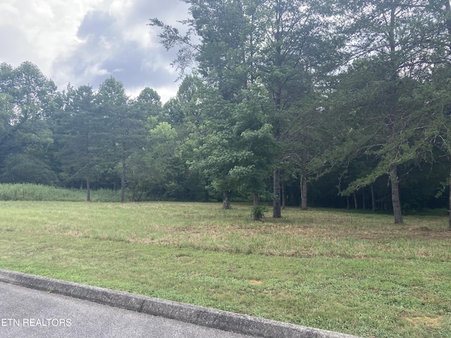 LOT73 Creekview Dr, Harriman, TN 37748 - photo 5