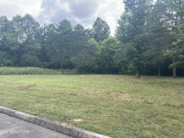 LOT73 Creekview Dr, Harriman, TN 37748 - photo 6