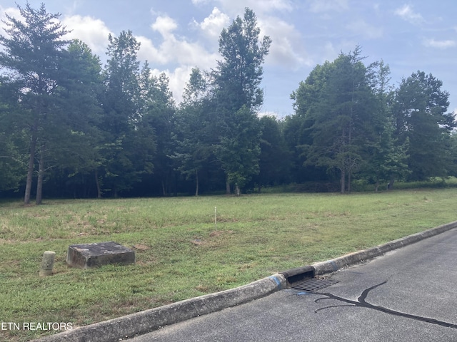LOT73 Creekview Dr, Harriman, TN 37748 - photo 7