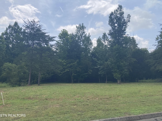 LOT73 Creekview Dr, Harriman, TN 37748 - photo 2