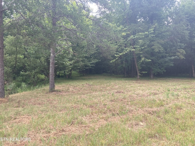 LOT73 Creekview Dr, Harriman, TN 37748 - photo 8