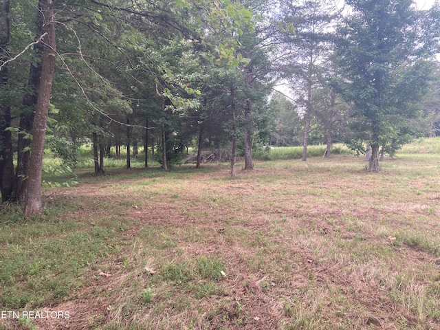 LOT73 Creekview Dr, Harriman, TN 37748 - photo 11