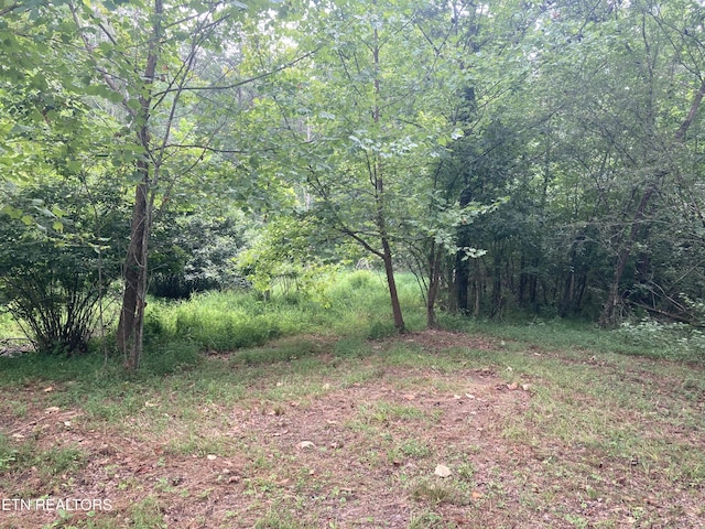 LOT73 Creekview Dr, Harriman, TN 37748 - photo 13