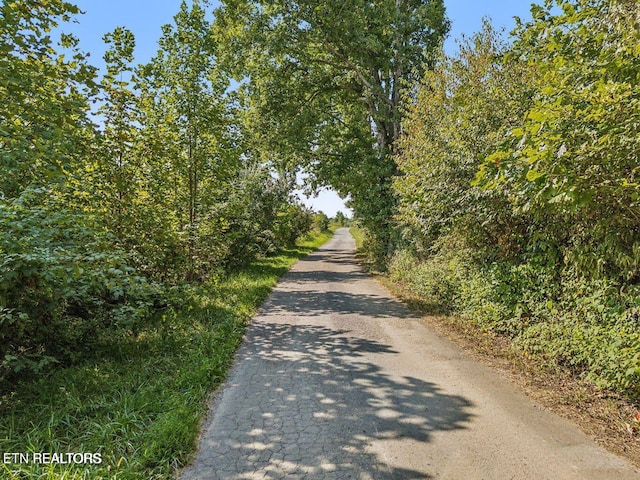 TRACT1 Grassy Knob Rd, Robbins, TN 37852 - photo 12