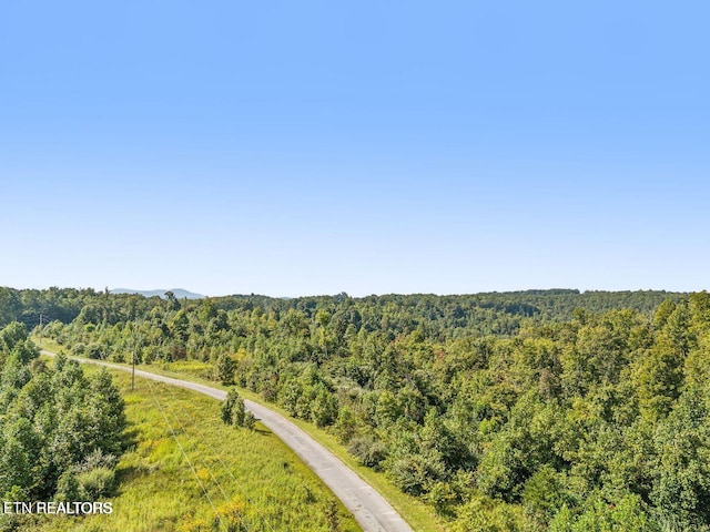 TRACT1 Grassy Knob Rd, Robbins, TN 37852 - photo 14