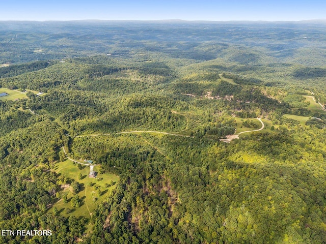 TRACT1 Grassy Knob Rd, Robbins, TN 37852 - photo 15