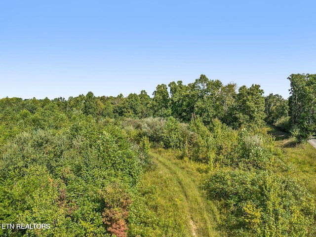 TRACT1 Grassy Knob Rd, Robbins, TN 37852 - photo 16