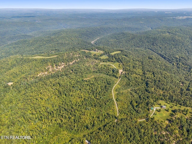 TRACT1 Grassy Knob Rd, Robbins, TN 37852 - photo 17
