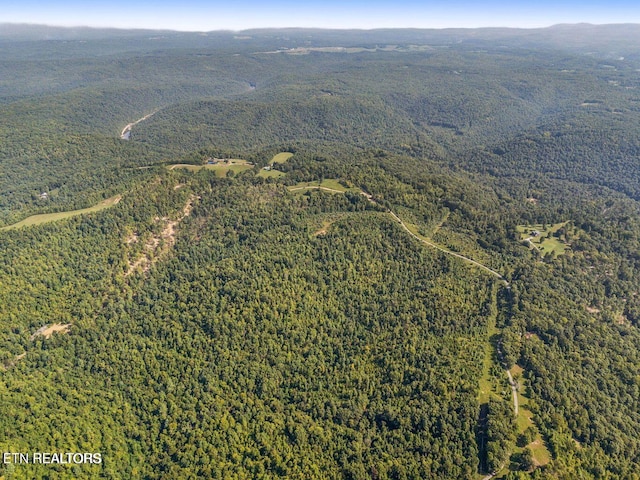 TRACT1 Grassy Knob Rd, Robbins, TN 37852 - photo 18