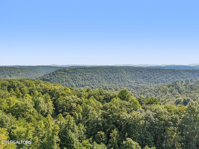 TRACT1 Grassy Knob Rd, Robbins, TN 37852 - photo 19