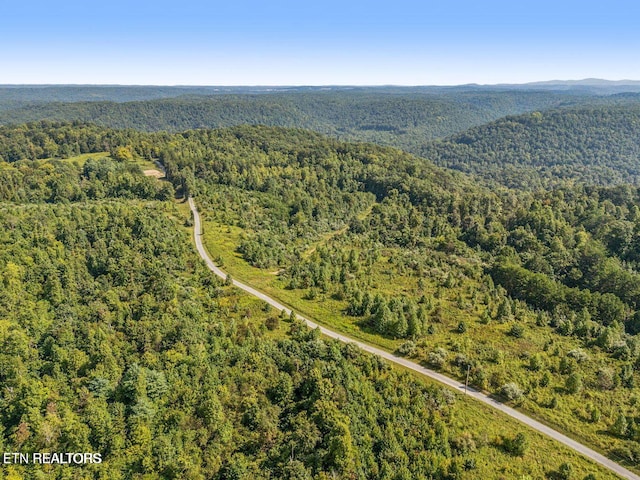 TRACT1 Grassy Knob Rd, Robbins, TN 37852 - photo 20