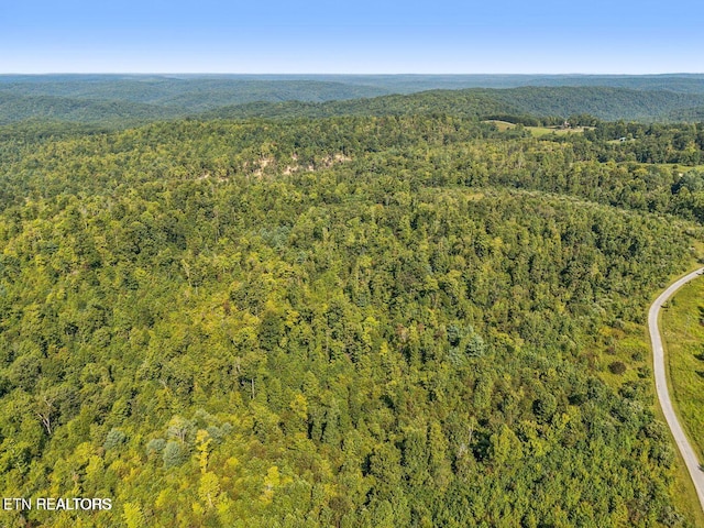 TRACT1 Grassy Knob Rd, Robbins, TN 37852 - photo 21