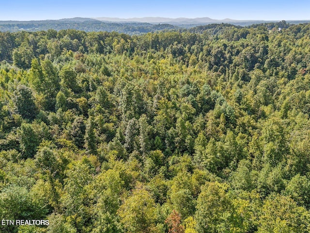 TRACT1 Grassy Knob Rd, Robbins, TN 37852 - photo 22