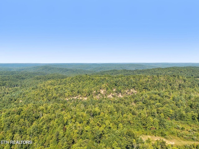 TRACT1 Grassy Knob Rd, Robbins, TN 37852 - photo 23