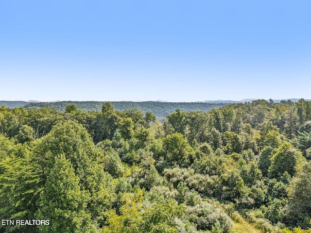 TRACT1 Grassy Knob Rd, Robbins, TN 37852 - photo 24