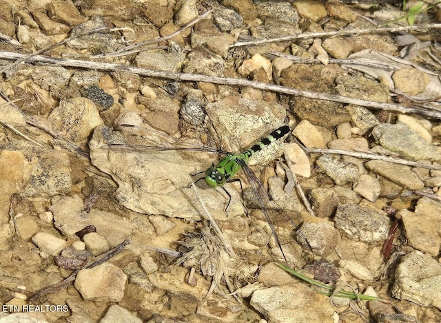 TRACT1 Grassy Knob Rd, Robbins, TN 37852 - photo 11