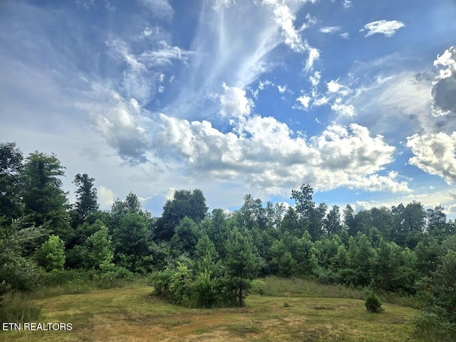 TRACT1 Grassy Knob Rd, Robbins, TN 37852 - photo 2