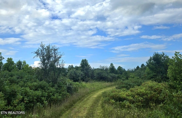 TRACT1 Grassy Knob Rd, Robbins, TN 37852 - photo 1