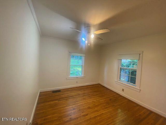 5811 Old Central Avenue Pike, Knoxville, TN 37912 - photo 8