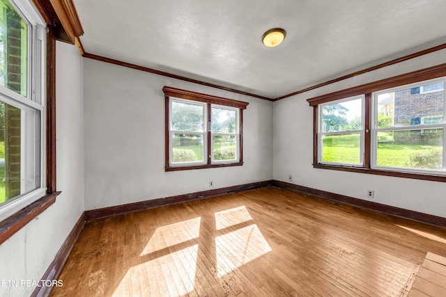 7205 Afton Dr, Knoxville, TN 37918 - photo 13