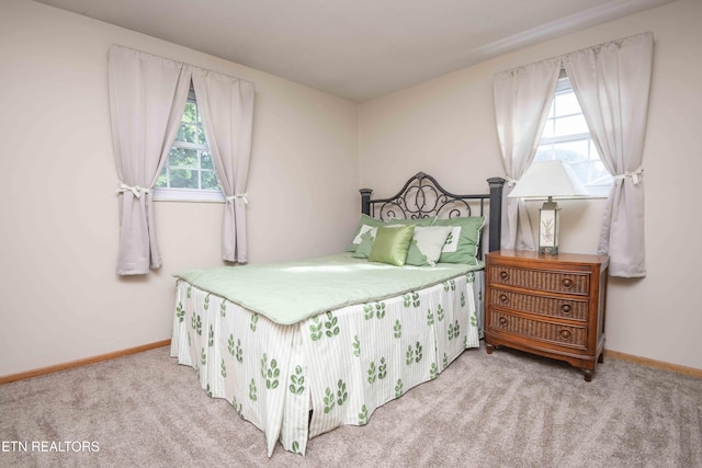 624 Metler Dr, Knoxville, TN 37912 - photo 26
