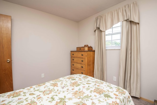 624 Metler Dr, Knoxville, TN 37912 - photo 29