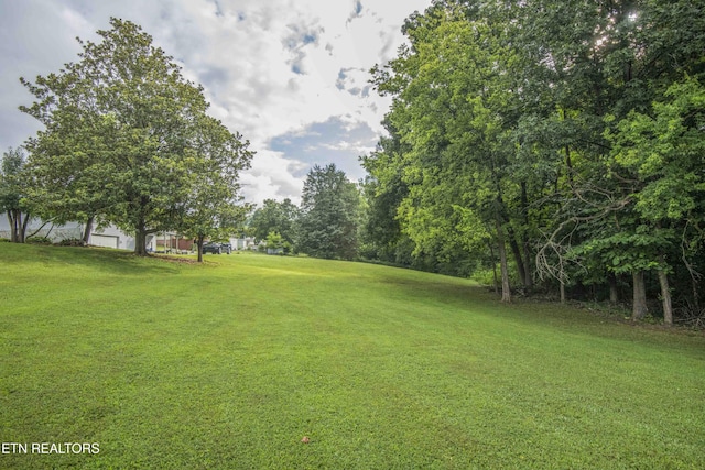 624 Metler Dr, Knoxville, TN 37912 - photo 6