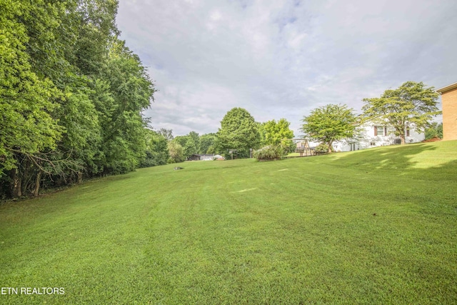 624 Metler Dr, Knoxville, TN 37912 - photo 7