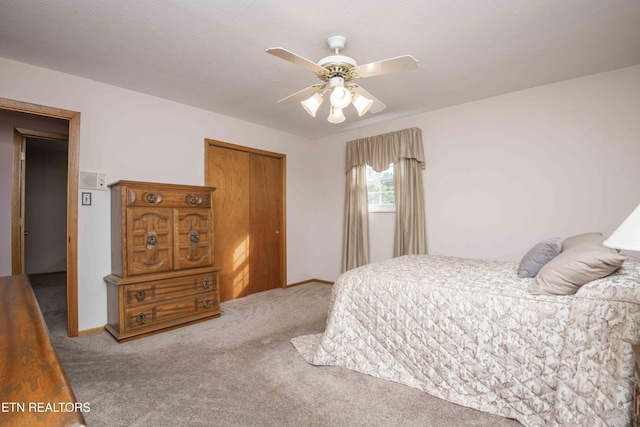 624 Metler Dr, Knoxville, TN 37912 - photo 24