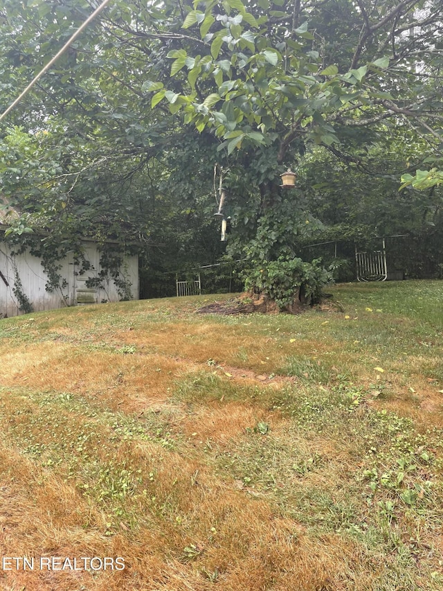 287 Lone Mountain Rd, Tazewell, TN 37879 - photo 25